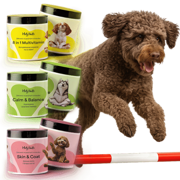 Zestaw nr 2 – Pies w formie 💪✅ (540 g)